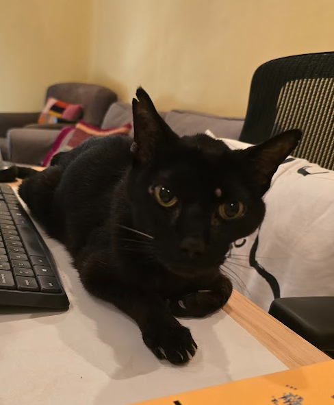 Team Member 6
